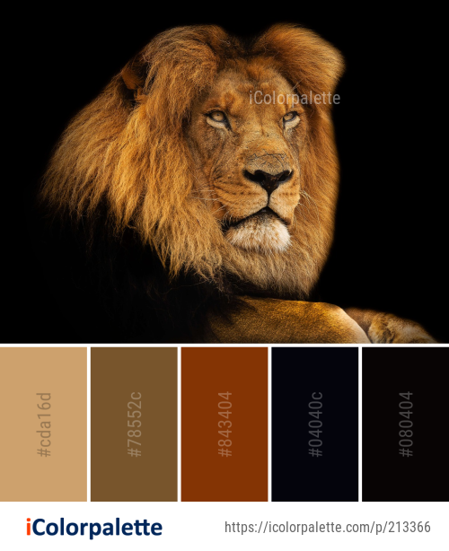 Color Palette Ideas from Wildlife Lion Face Image | iColorpalette