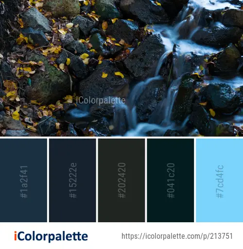 Color Palette Ideas from Water Nature Rock Image | iColorpalette