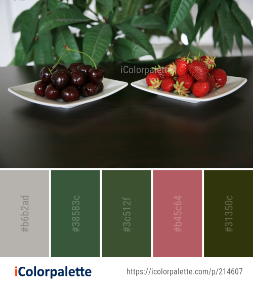 Color Palette Ideas from Fruit Strawberries Food Image