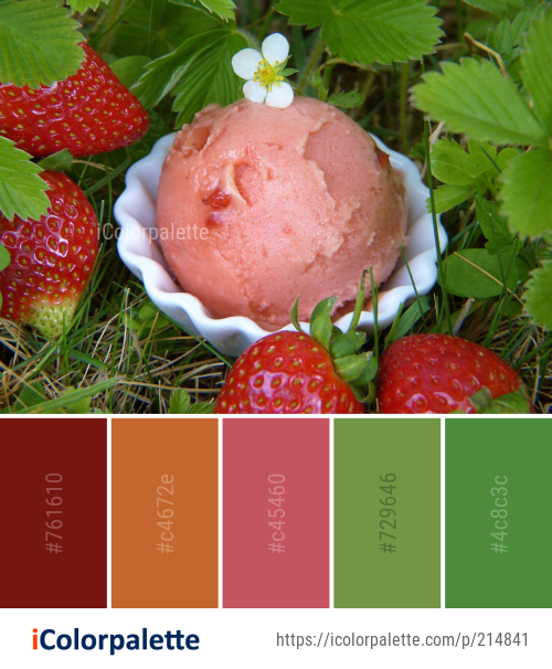 Color Palette Ideas from Strawberry Ice Cream Strawberries Image iColorpalette