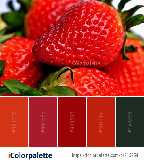 Color Palette Ideas from Strawberry Natural Foods Strawberries Image