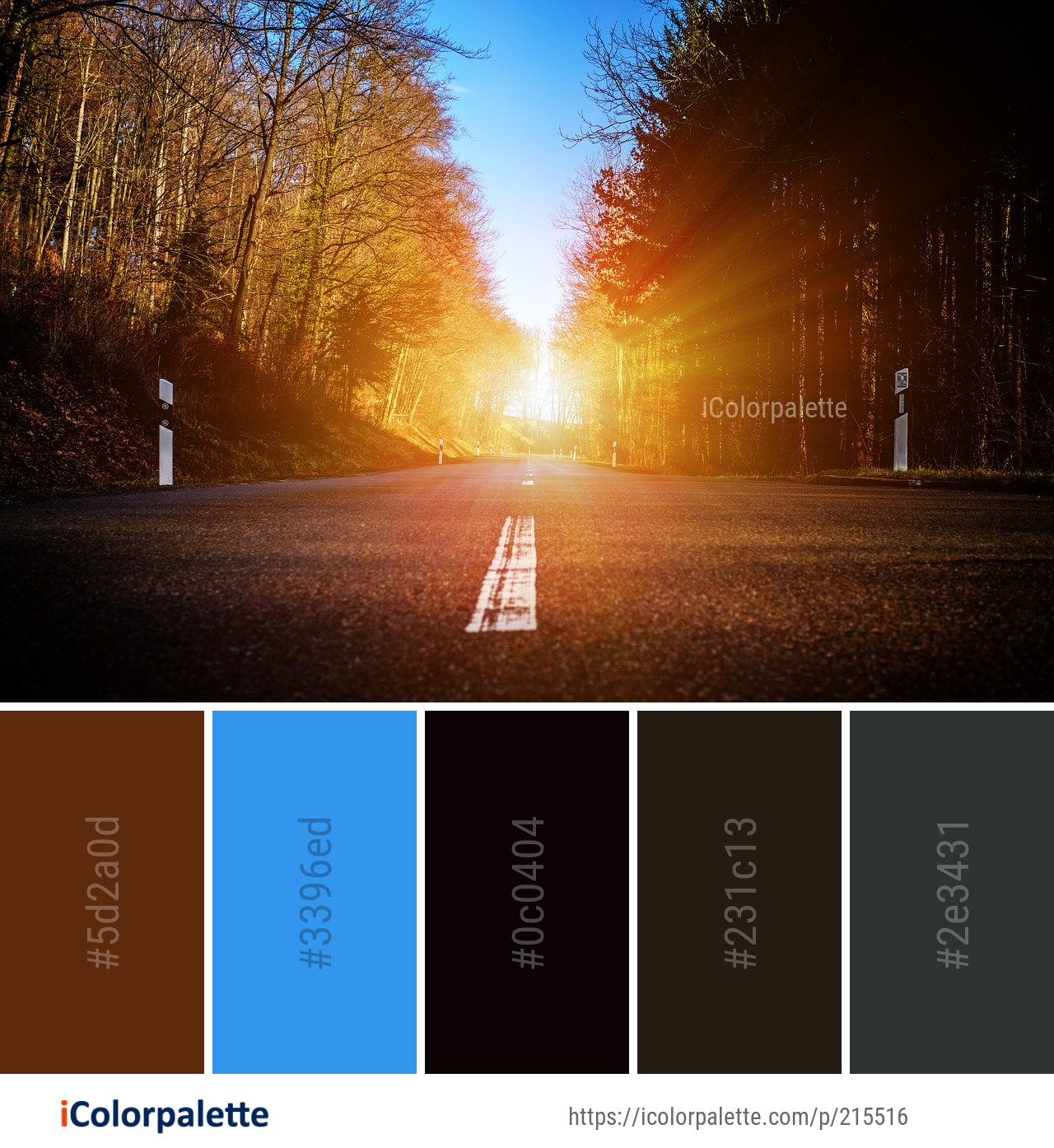 Color Palette Ideas from Sky Nature Sun Image | iColorPalette