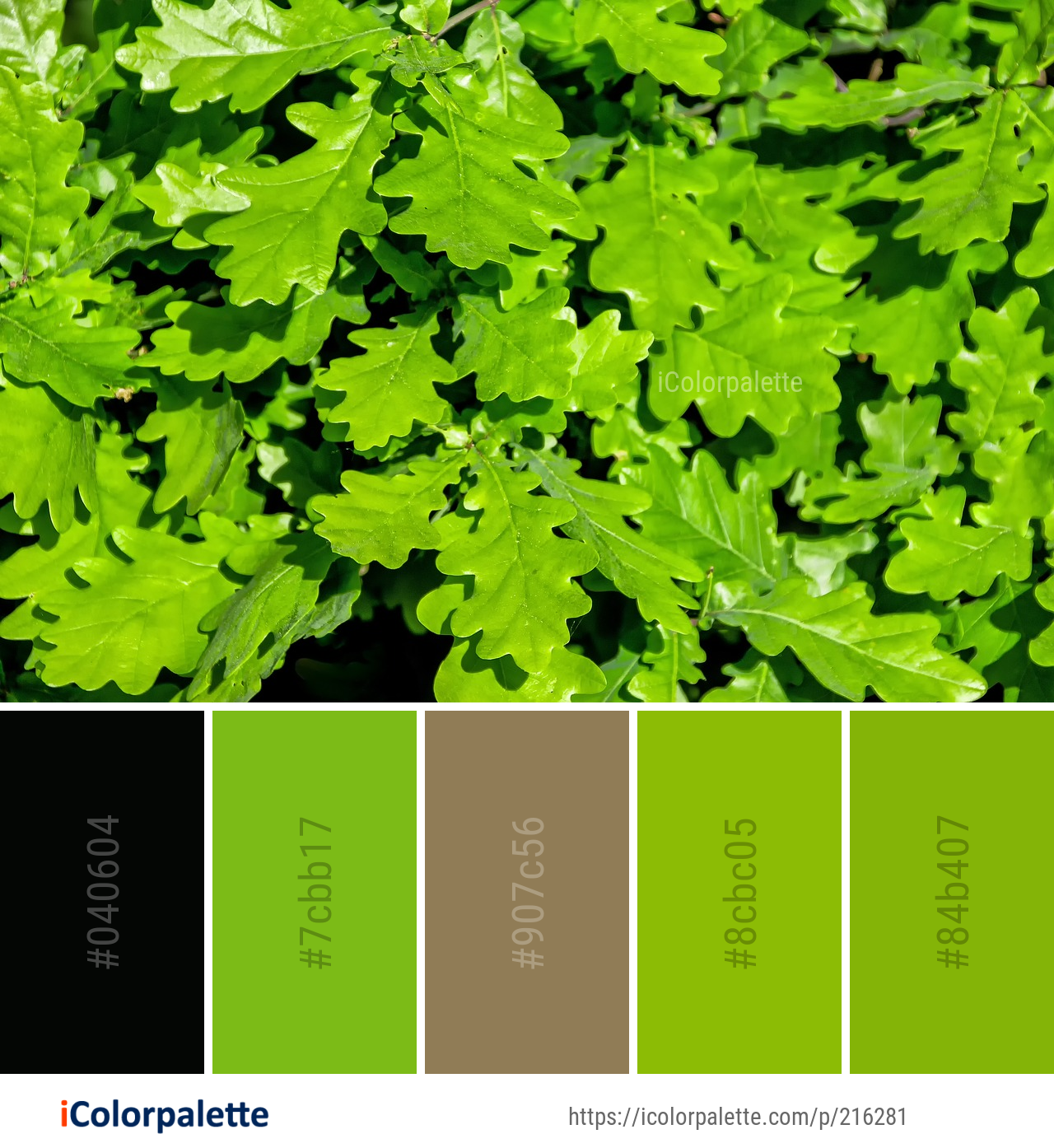 Color Palette Ideas from Green Leaf Plant Image iColorpalette