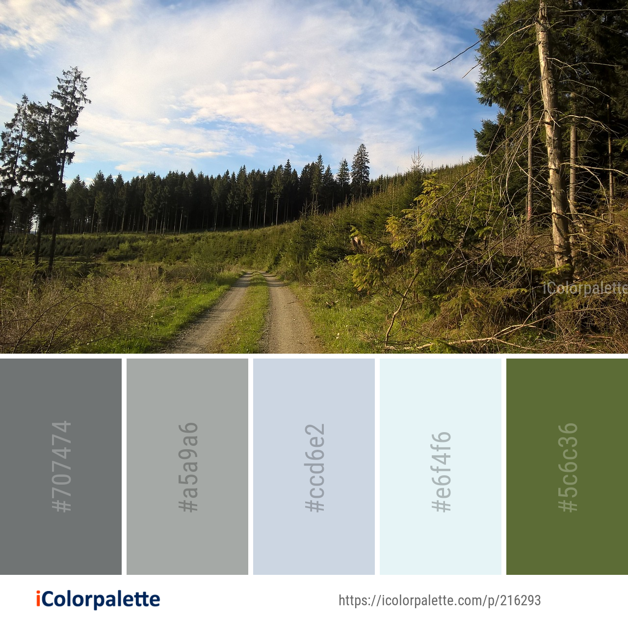 Color Palette Ideas from Sky Path Ecosystem Image | iColorpalette