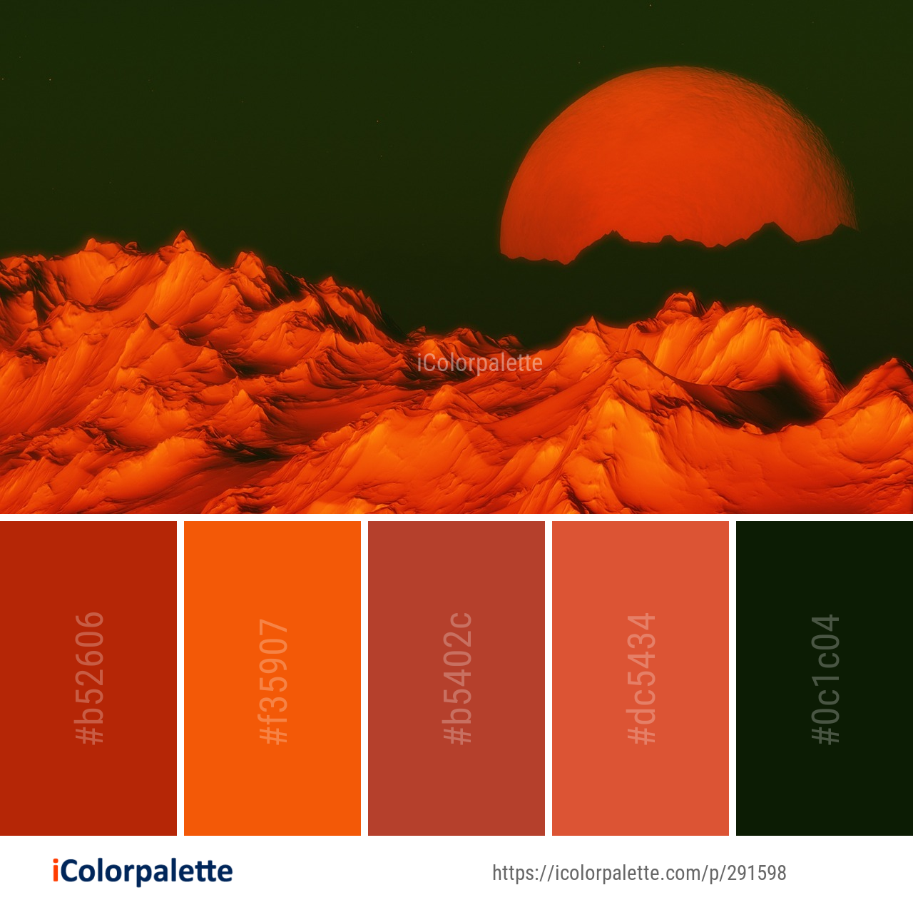 Color Palette Ideas from Orange Macro Photography Close Up Image ...