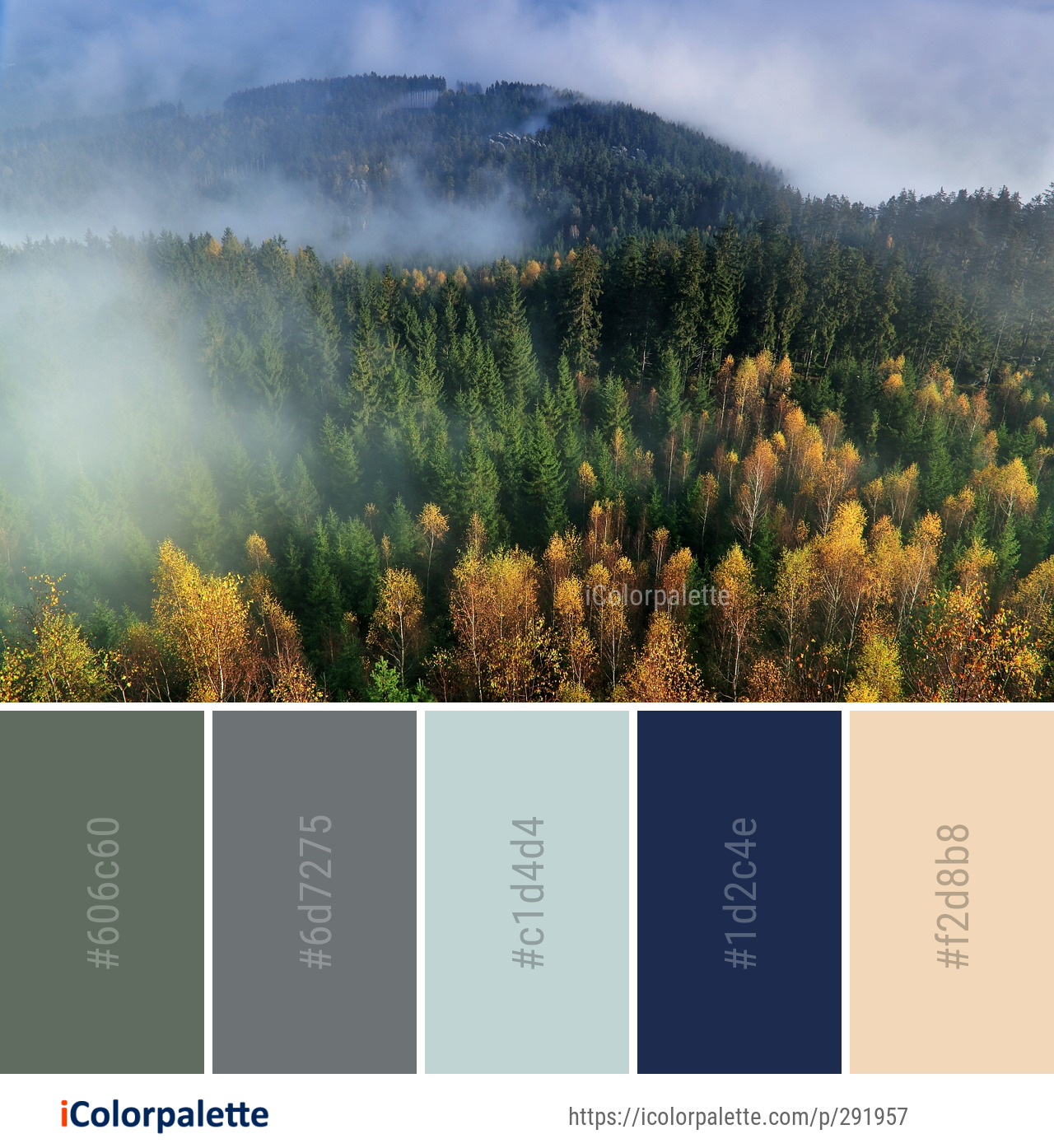 Color Palette Ideas From Nature Ecosystem Wilderness Image Icolorpalette