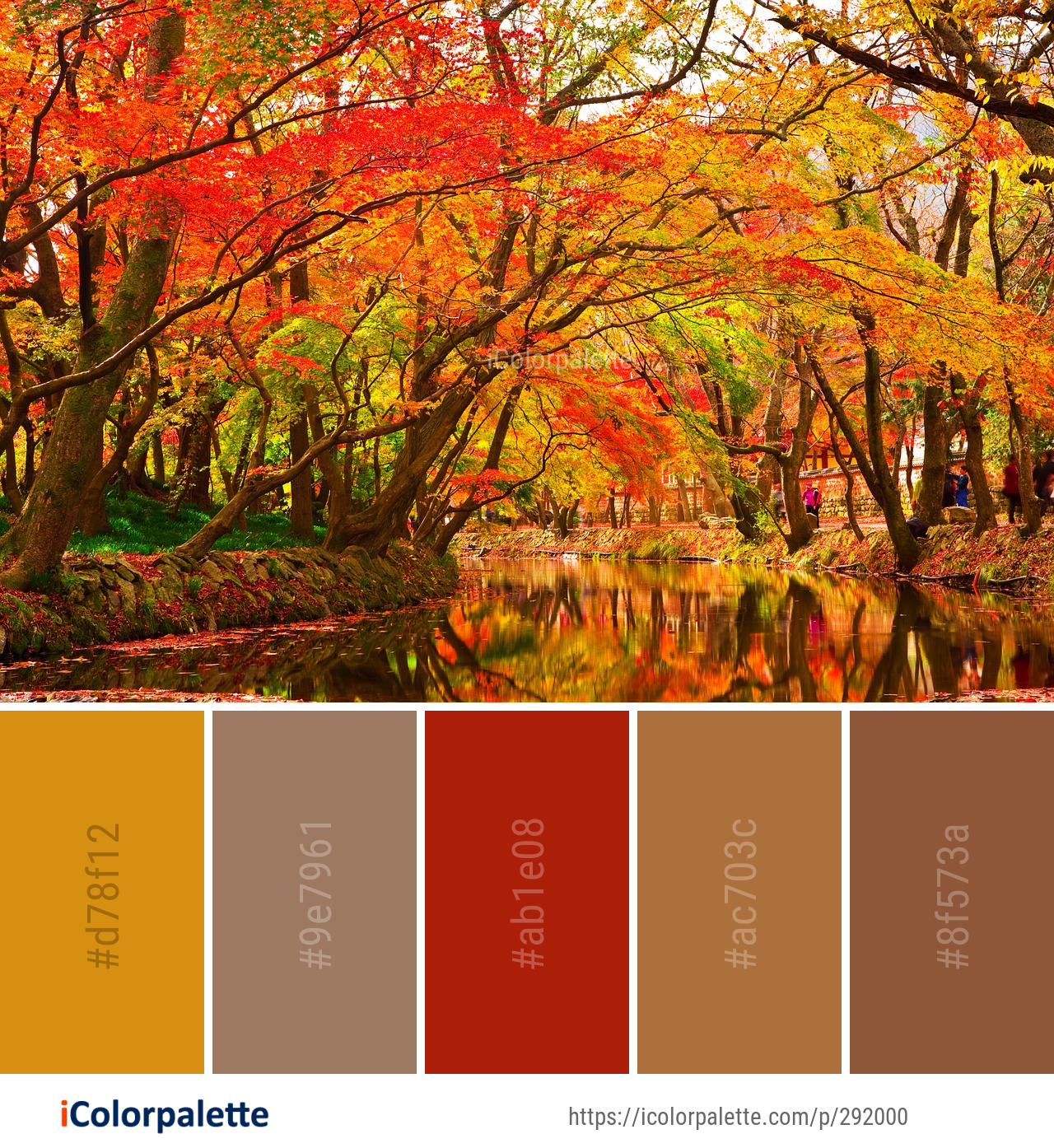 Resultado de imágenes de Google  Fall color combinations, Color of life,  Color palette