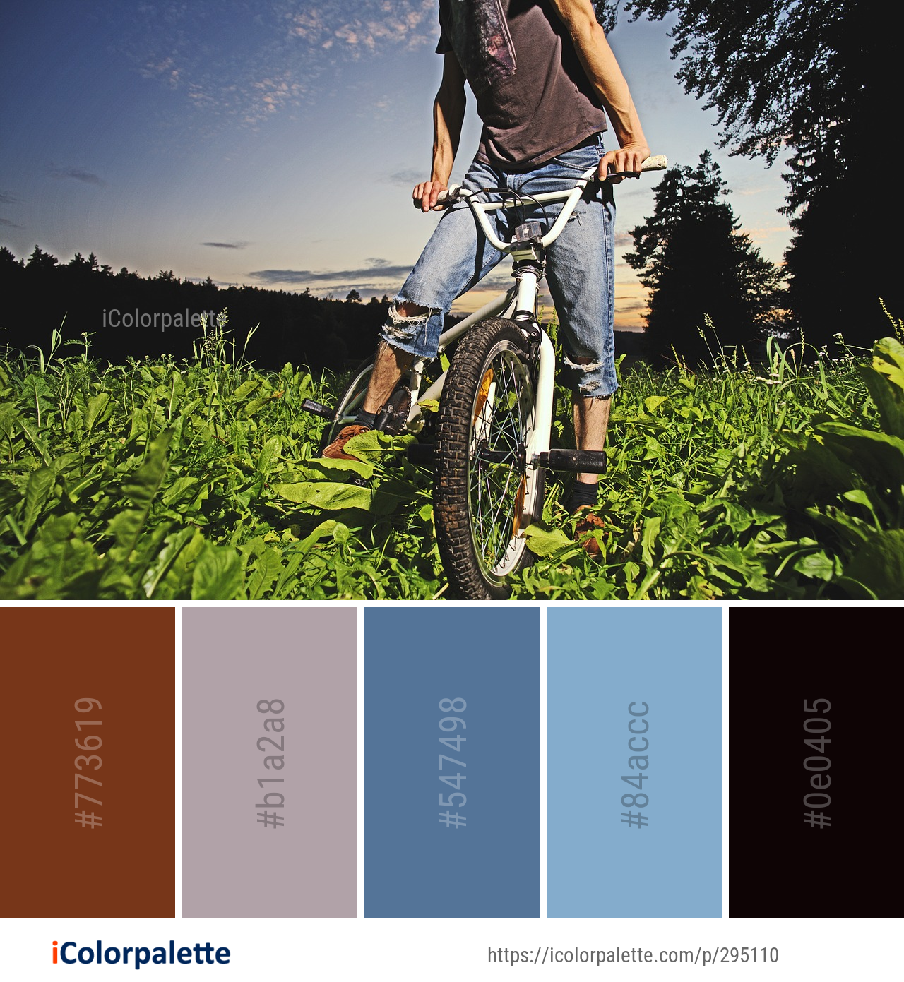 Color Palette Ideas from Land Vehicle Bicycle Cycle Sport Image
