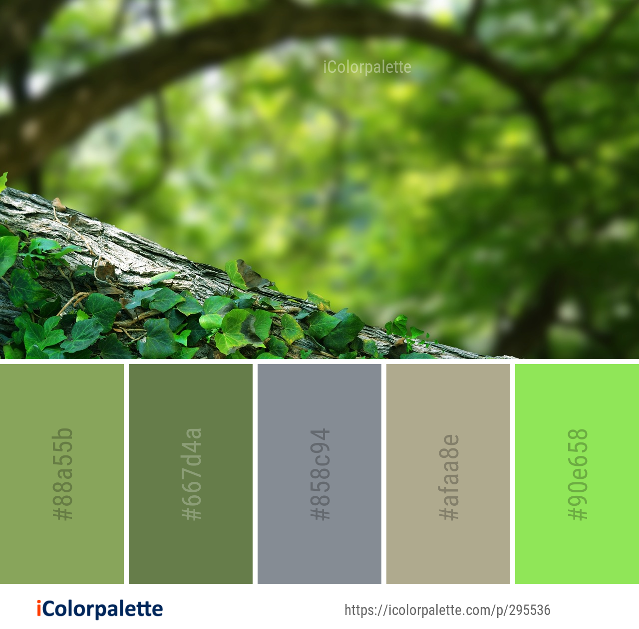 Color Palette Ideas From Vegetation Ecosystem Green Image Icolorpalette