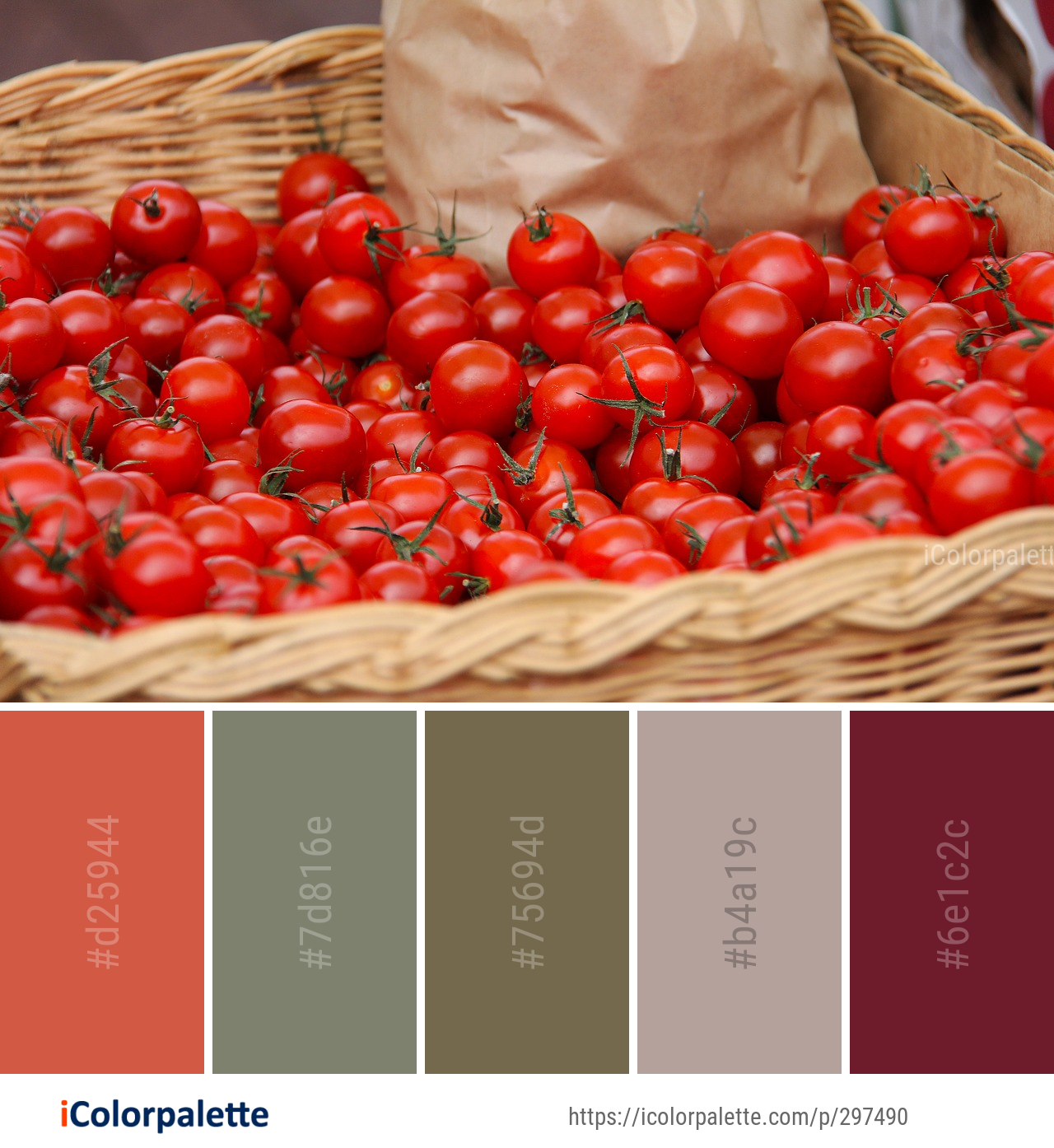 Color Palette Ideas from Natural Foods Vegetable Local Food Image iColorpalette