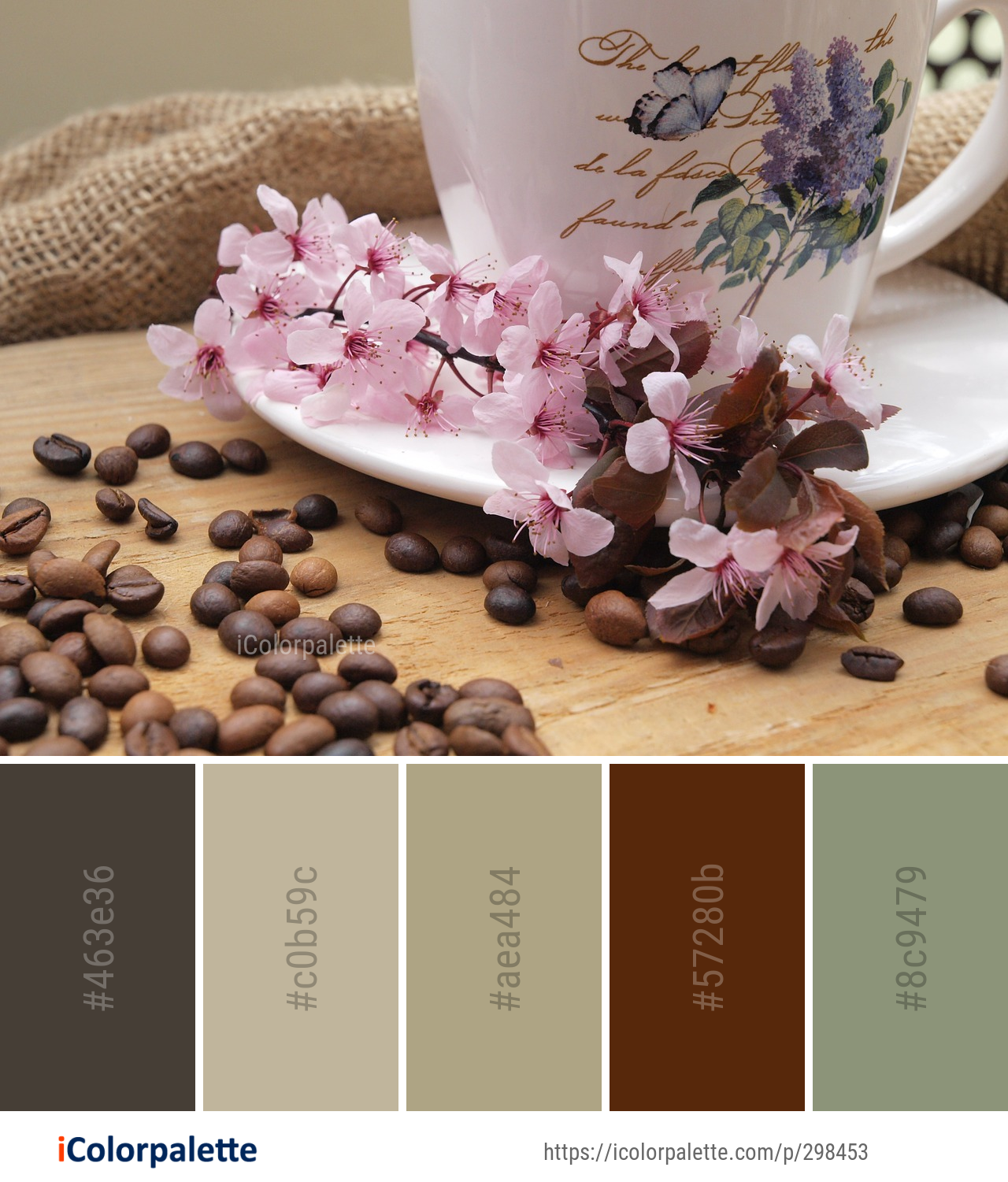 Color Palette Ideas from Cup Coffee Flower Image | iColorpalette