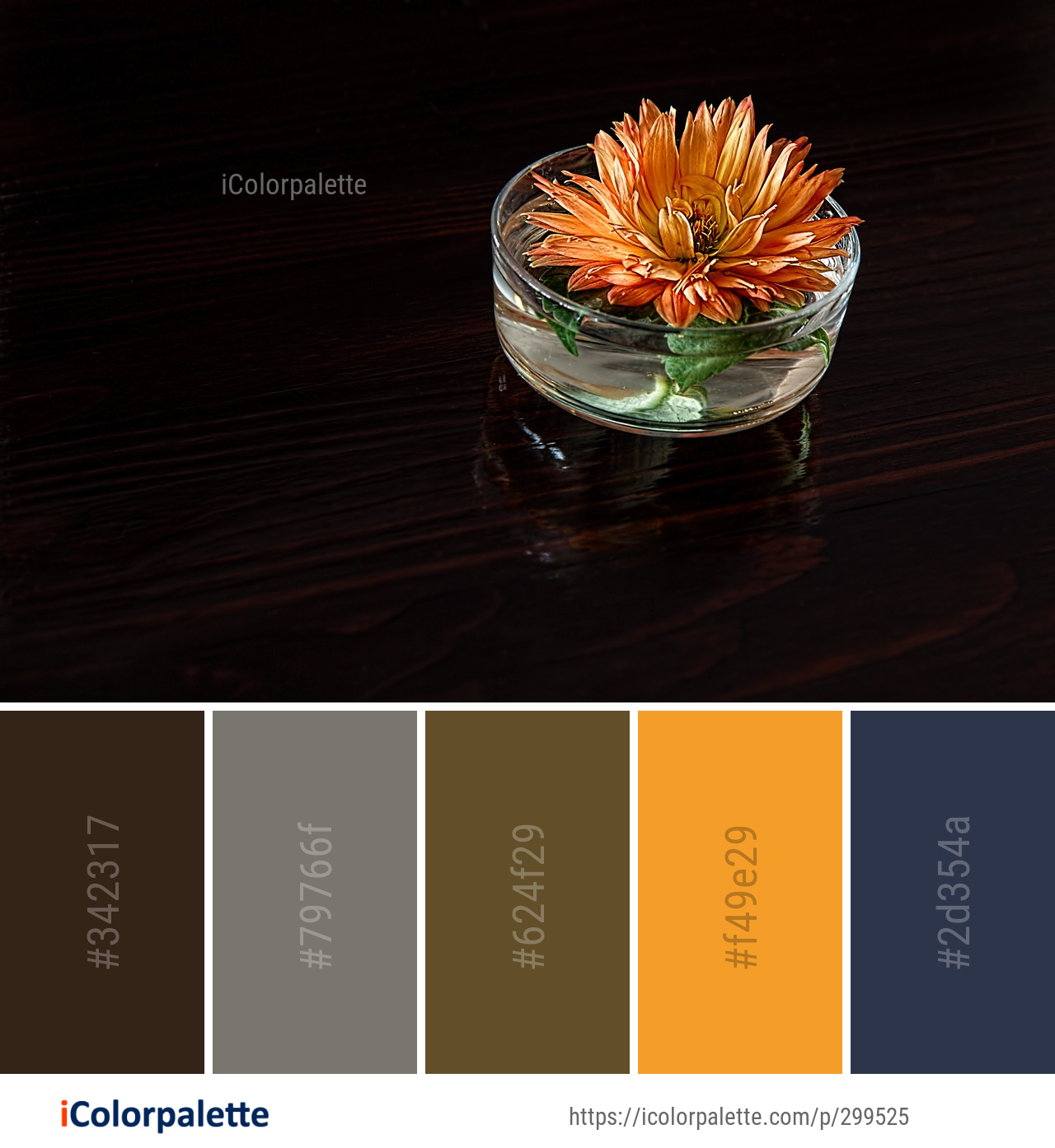 Color Palette Ideas from Flower Still Life Photography Glass Image ...