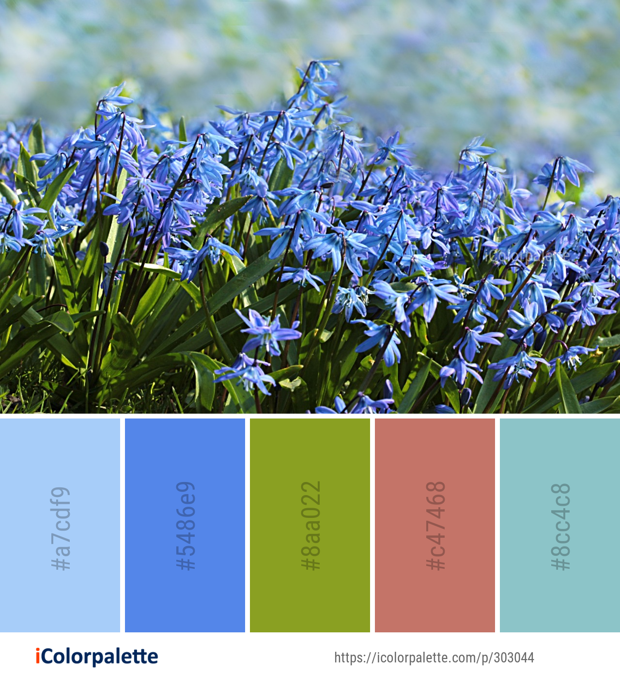 Color Palette Ideas from Plant Flower Flora Image | iColorpalette