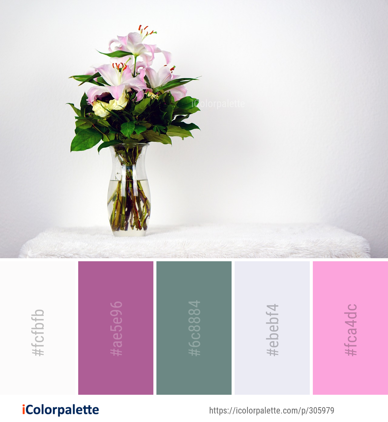 Color Palette Ideas from Flower Vase Plant Image | iColorpalette
