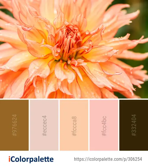 27 Pink Color Combinations | Curated collection of Color Palettes