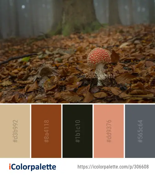 Color Palette Ideas from Fungus Mushroom Leaf Image | iColorpalette