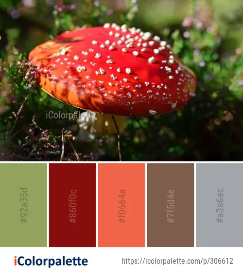 Color Palette Ideas from Fungus Agaric Mushroom Image | iColorpalette