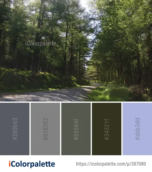 Color Palette Ideas From Nature Ecosystem Tree Image Icolorpalette