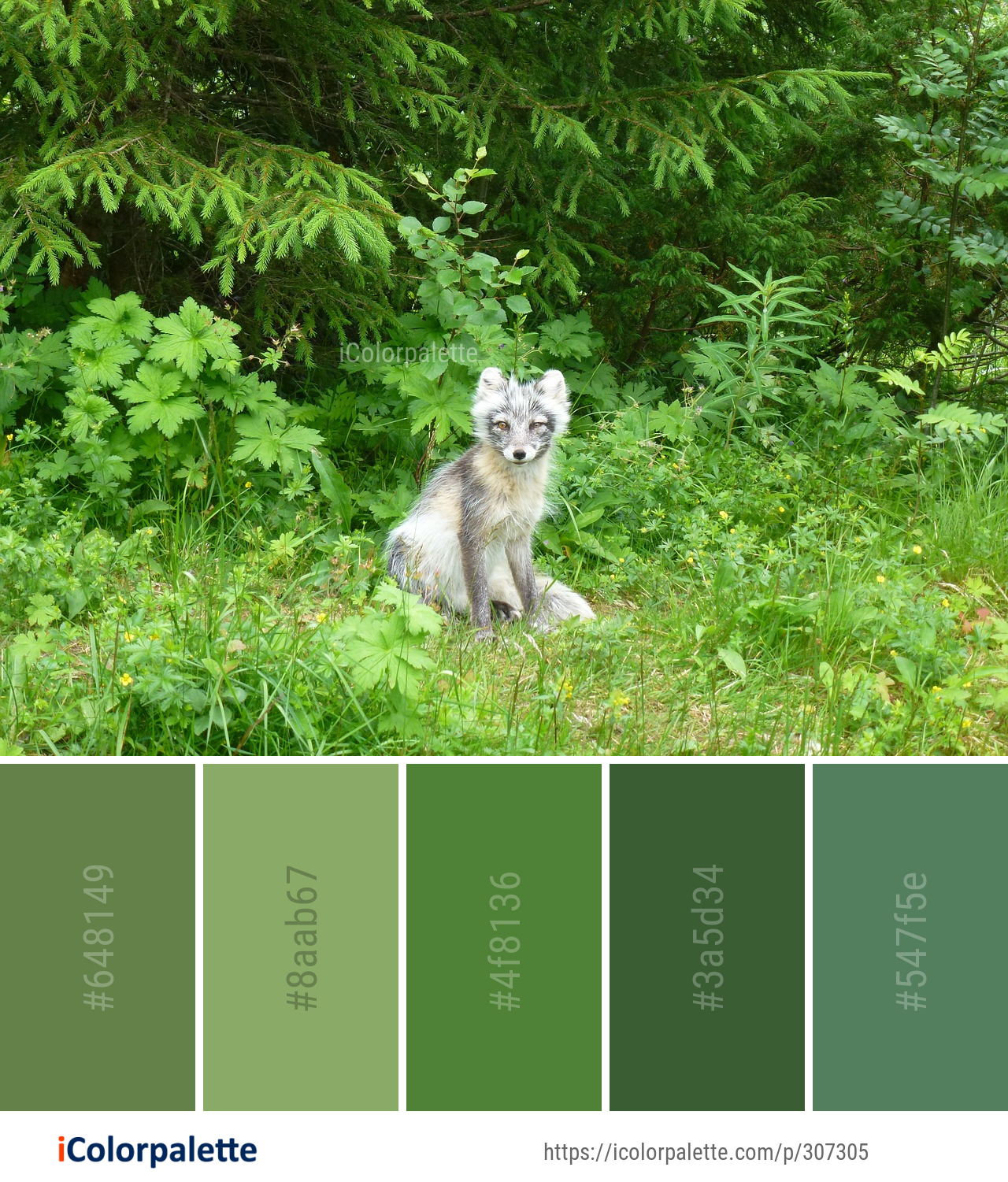 Color Palette Ideas from Wildlife Ecosystem Nature Reserve Image ...