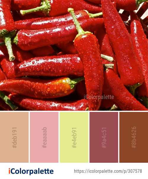 Color Palette Ideas from Natural Foods Chili Pepper Bird’s Eye Image