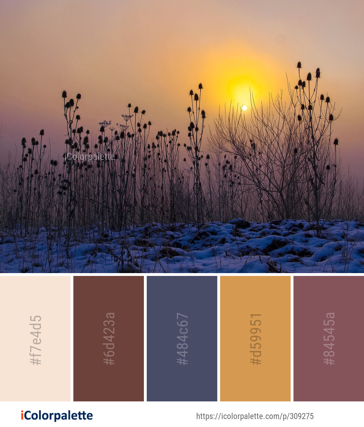 Color Palette Ideas from Sky Sun Sunrise Image | iColorpalette