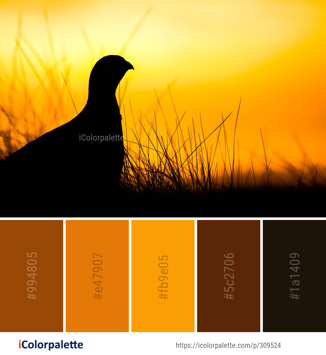75 Sunset Color Schemes | Curated collection of Color Palettes