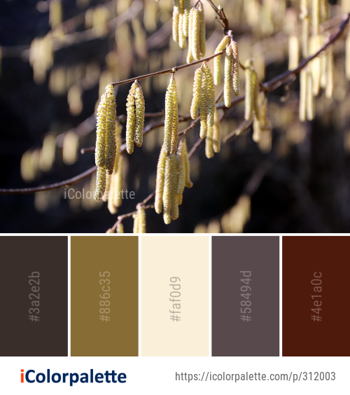 Color Palette Ideas from Close Up Twig Spring Image | iColorPalette