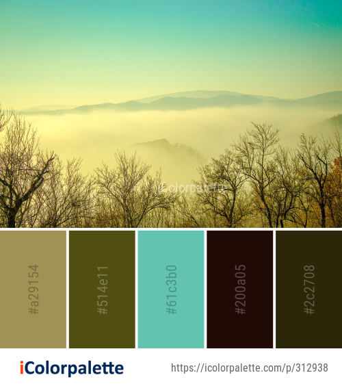 Color Sky Tree Color Palette Ideas from Sky Tree Morning Image | iColorpalette