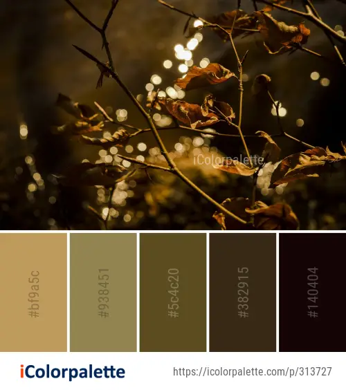31 Autumn Color Palettes | Curated collection of Color Palettes
