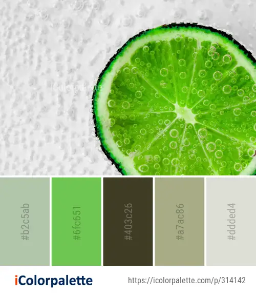 Color Palette Ideas from Lime Green Persian Image | iColorpalette