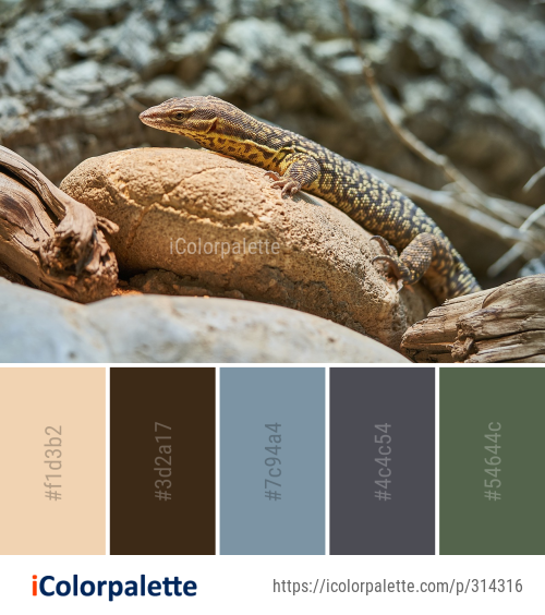 Color Palette Ideas from Reptile Lizard Scaled Image | iColorpalette