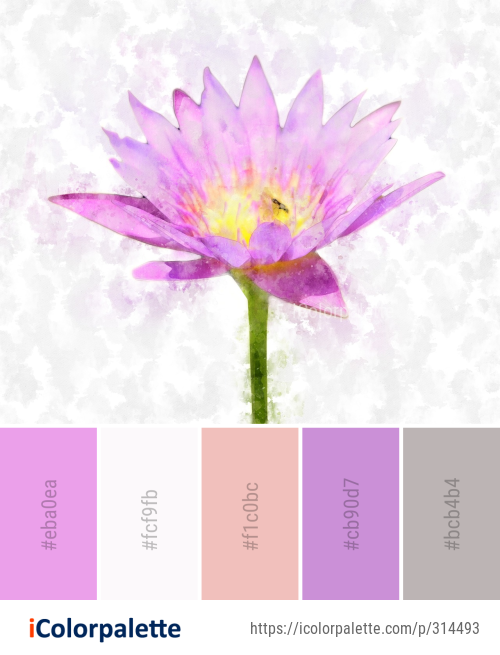 Color Palette Ideas from Flower Pink Purple Image