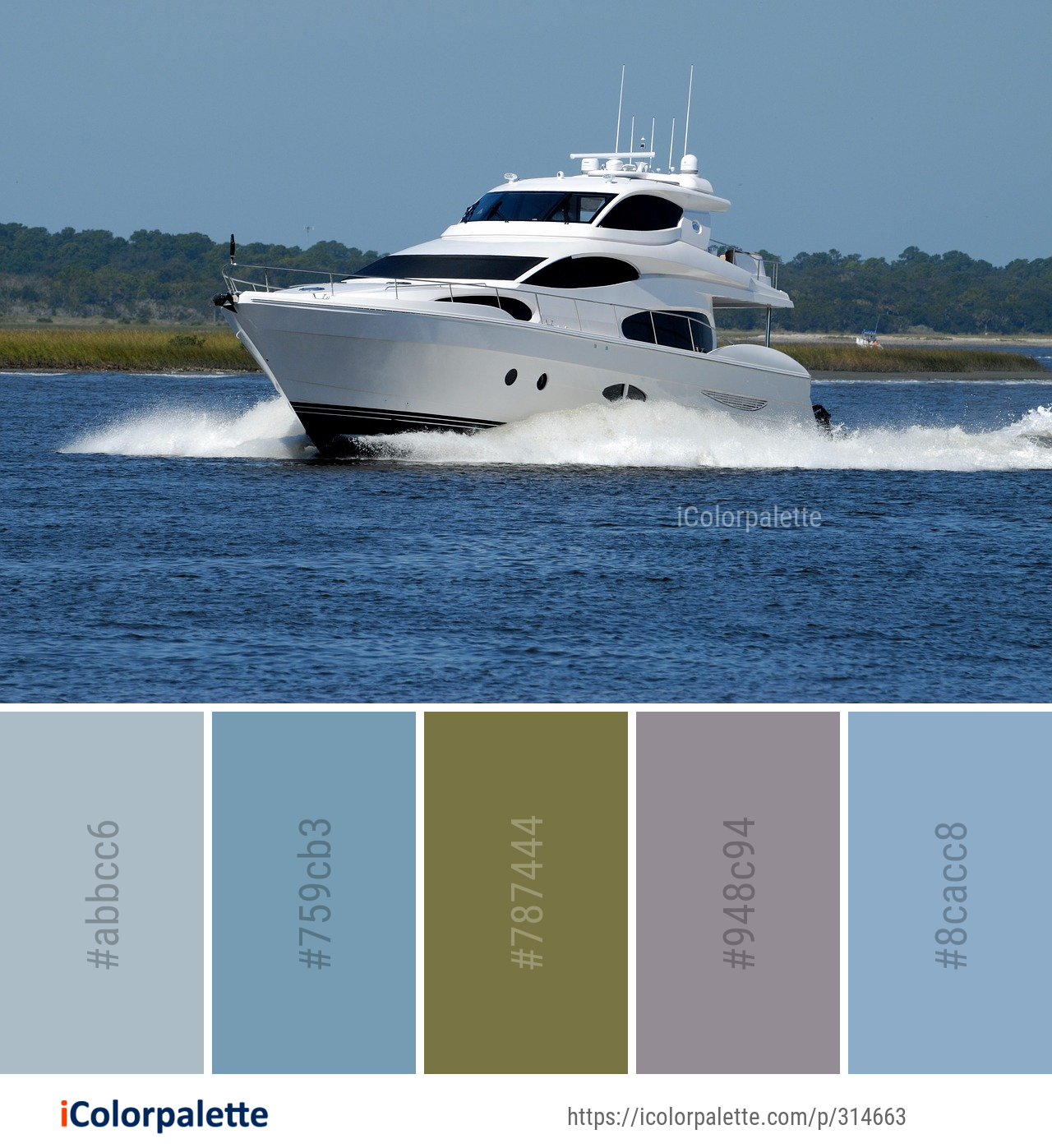 Color Palette Ideas from Boat Passenger Ship Motorboat Image