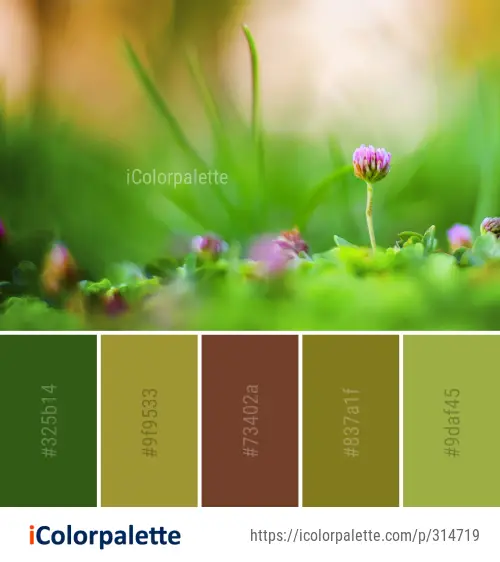 Color Palette Ideas From Green Flower Vegetation Image Icolorpalette