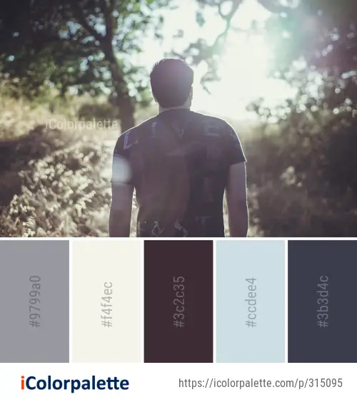 Color Palette Ideas from Photograph Tree Nature Image | iColorpalette