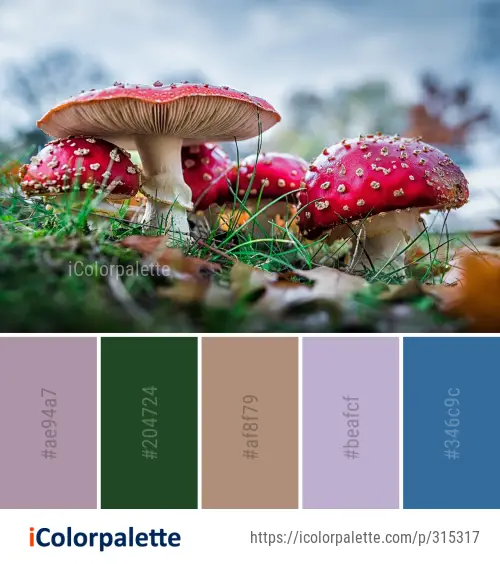 Color Palette Ideas from Mushroom Fungus Agaric Image | iColorpalette