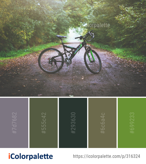 Color Palette Ideas from Bicycle Cycle Sport Land Vehicle Image