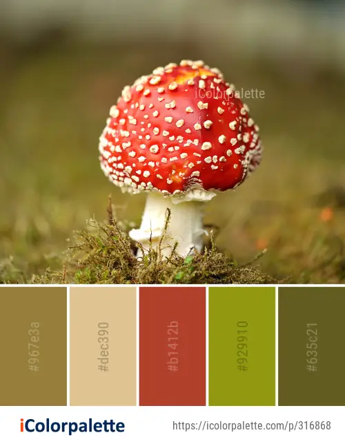 Color Palette Ideas from Mushroom Agaric Fungus Image | iColorpalette