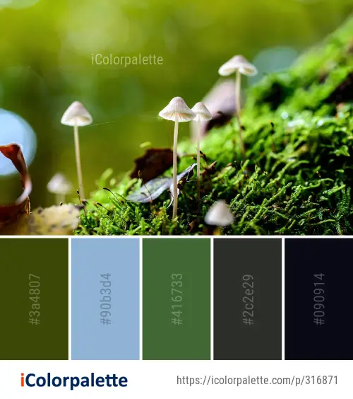 Color Palette Ideas from Flora Vegetation Leaf Image | iColorpalette