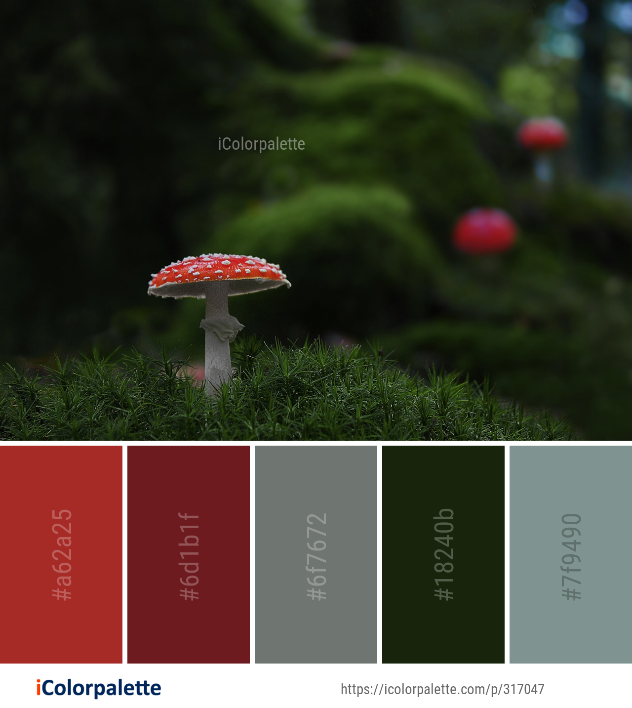 Color Palette Ideas from Red Nature Green Image | iColorpalette