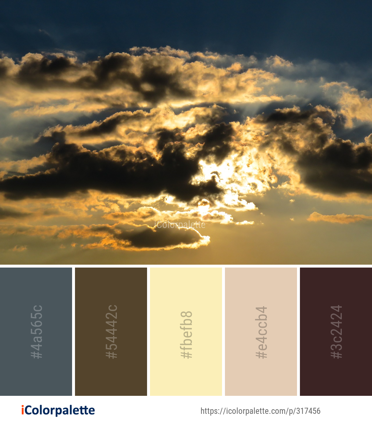 919+ Daytime Color Palette ideas in 2026 | iColorPalette
