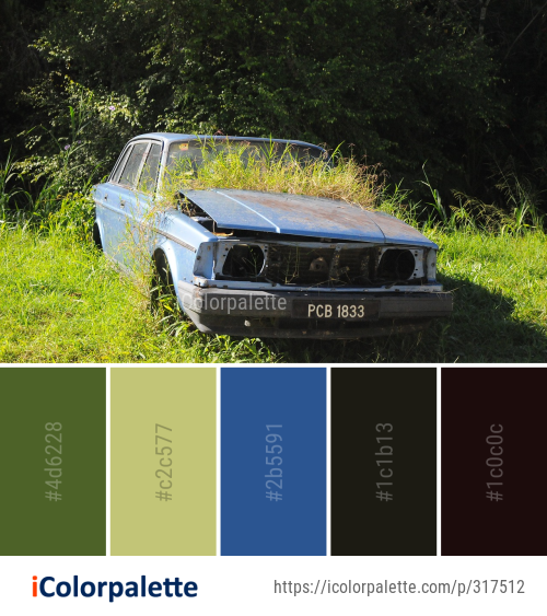 Color Palette Ideas from Motor Vehicle Nature Car Image | iColorpalette