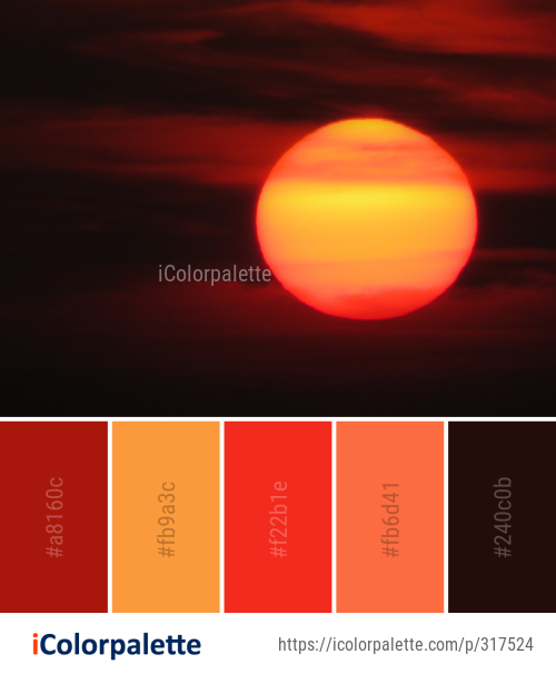 25 Shades of Orange color Palette Collection | Curated collection of ...