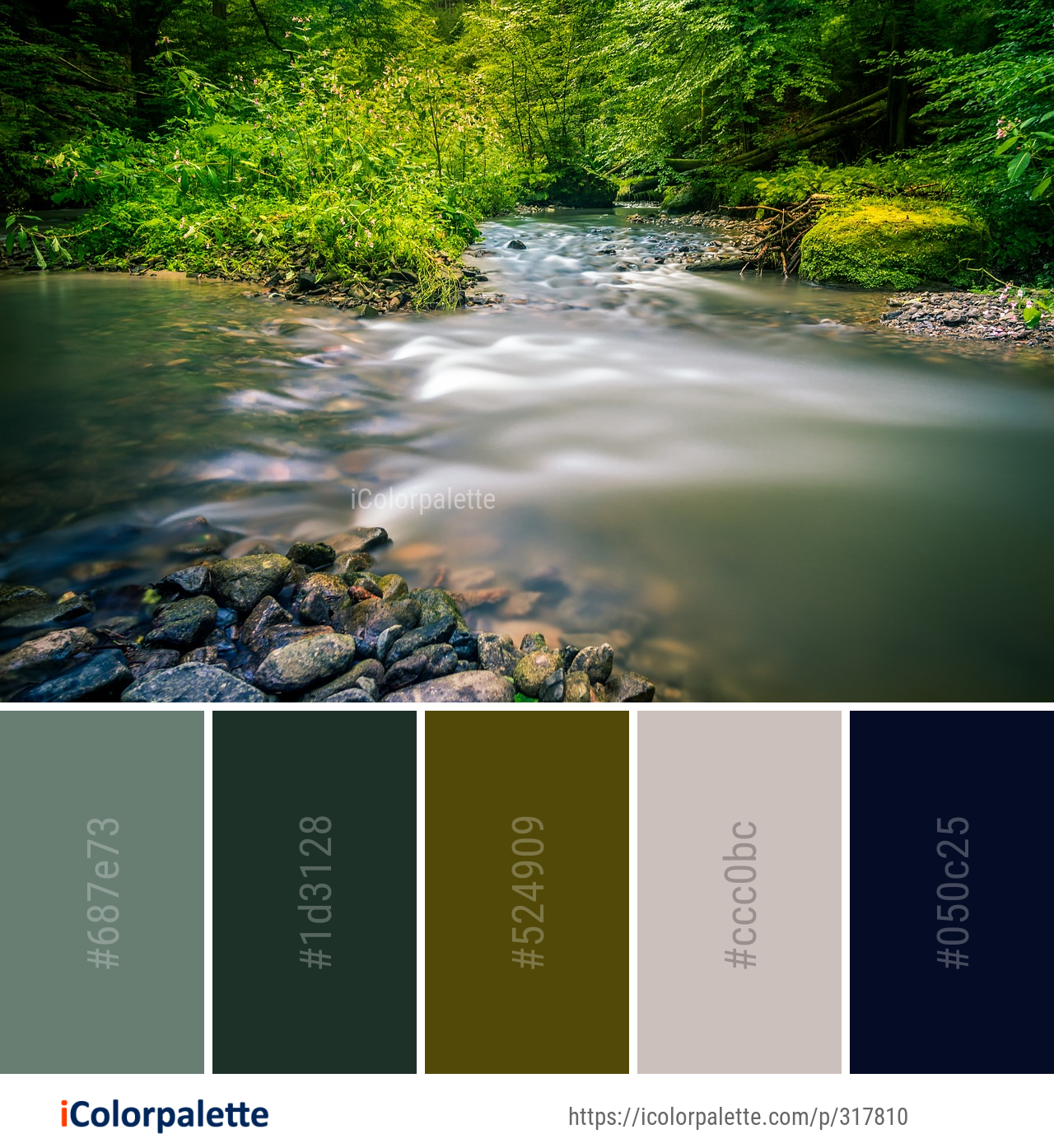 Color Palette Ideas from Stream Water River Image | iColorpalette