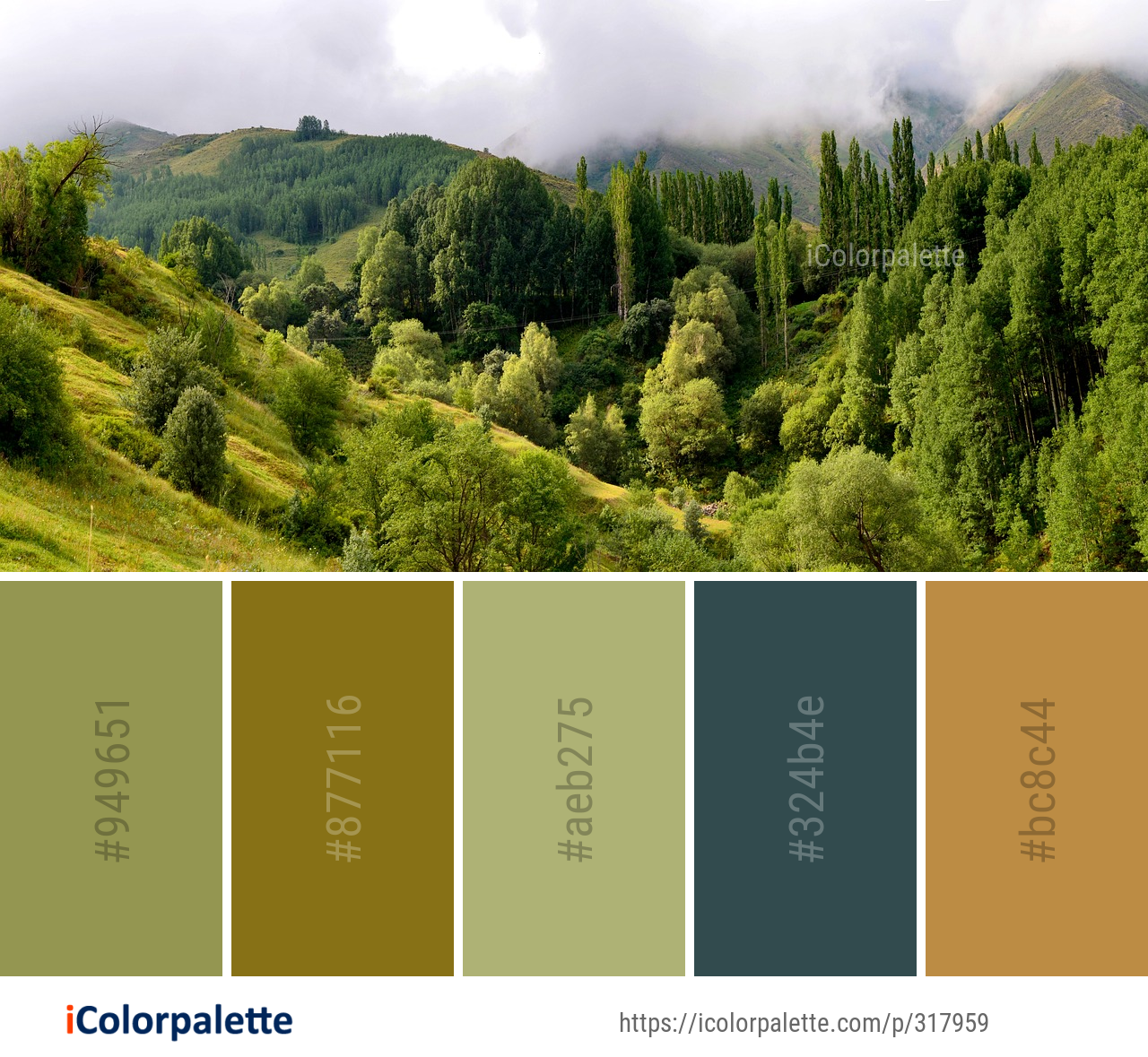 Color Palette Ideas From Vegetation Ecosystem Nature Image Icolorpalette