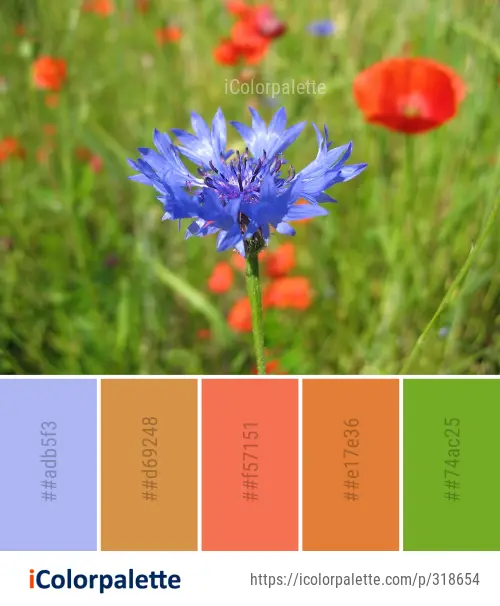 Color Palette Ideas from Flower Wildflower Plant Image | iColorpalette