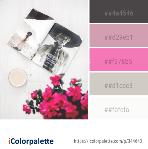 28 Pink Color Combinations | Curated collection of Color Palettes