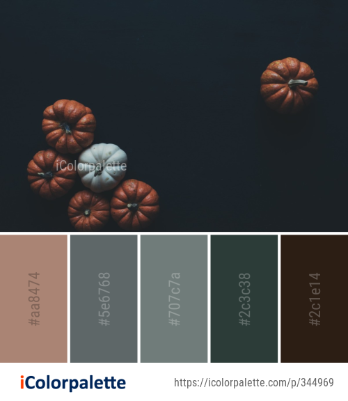 Color Palette Ideas from Orange Still Life Photography Computer Wallpaper Image