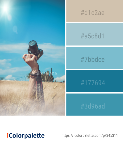 32 Sky Color Schemes | Curated collection of Color Palettes
