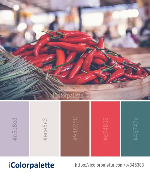 Color Palette Ideas from Chili Pepper Local Food Vegetable Image ...